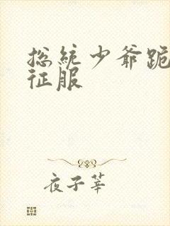 总统少爷跪地唱征服