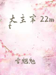 大主宰 22mt
