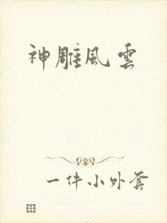 神雕风云