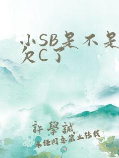 小SB是不是又欠C了