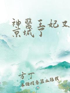 神医王妃又轰动京城了