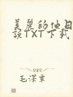 美丽的他日剧小说TXT下载