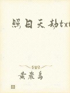照日天劫txt
