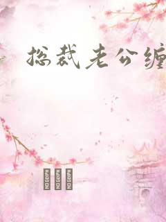 总裁老公缠上门