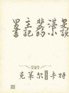 男主裴湛是省委书记的小说