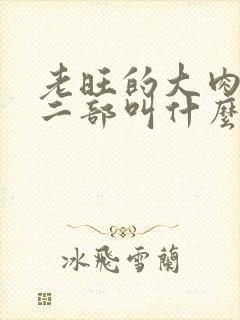 老旺的大肉蟒第二部叫什么小说