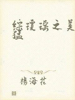 综琼瑶之美人凶猛