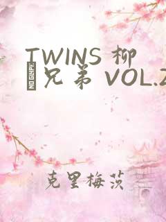 TWINS 柳澤兄弟 VOL.2