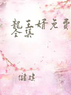 龙王婿免费完结全集