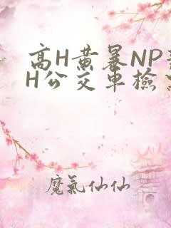 高H黄暴NP辣H公交车检票员