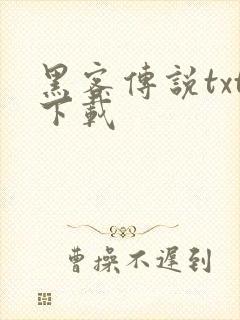 黑客传说txt下载