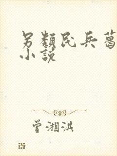 另类民兵葛二蛋小说