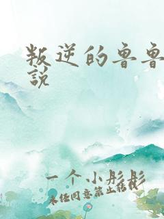 叛逆的鲁鲁修小说