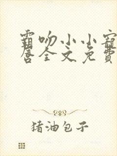 霸吻小小宠儿的唇全文免费阅读