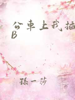 公车上我插上骚B