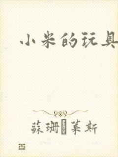 小米的玩具日记