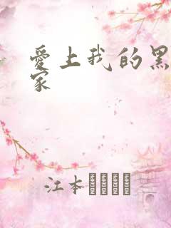 爱上我的黑道冤家