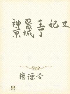 神医王妃又轰动京城了