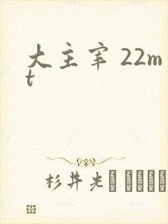 大主宰 22mt