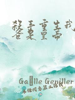 杀手重生我的老爸是皇帝