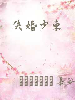 失婚少东