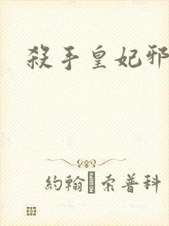 杀手皇妃邪魅帝