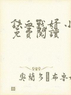 铁血战婿 小说免费阅读