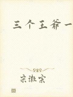 三个王爷一个妃