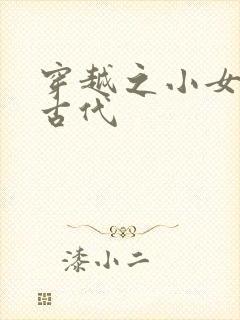 穿越之小女子闹古代