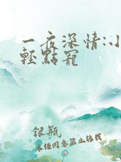 一夜深情:小叔轻点宠