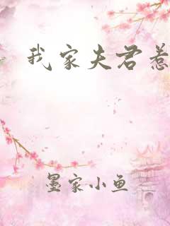 我家夫君惹不起