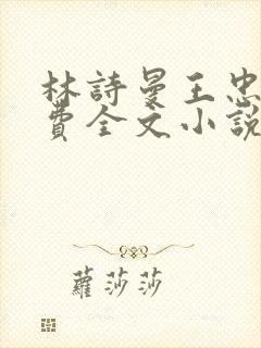 林诗曼王忠文免费全文小说的名称