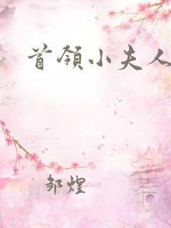 首领小夫人