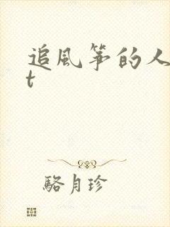 追风筝的人txt