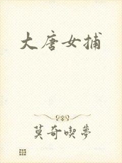 大唐女捕