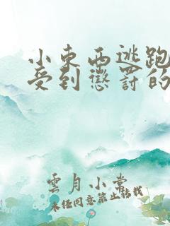 小东西逃跑是要受到惩罚的