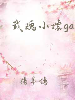 武魂小坏ga