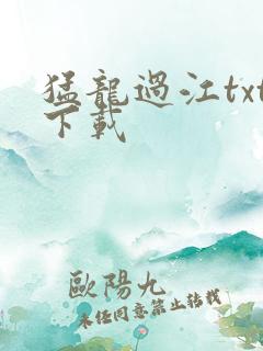 猛龙过江txt下载