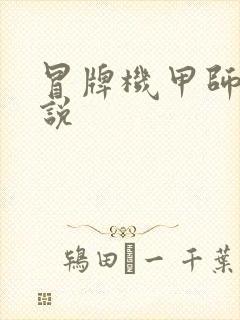 冒牌机甲师 小说