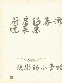 厨房的春潮带雨晚来急