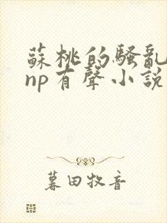 苏桃的骚乱文肉np有声小说