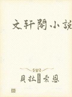 文轩阁小说网