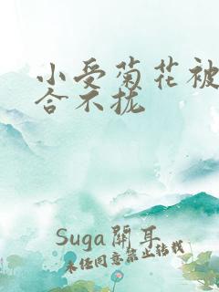 小受菊花被双龙合不拢