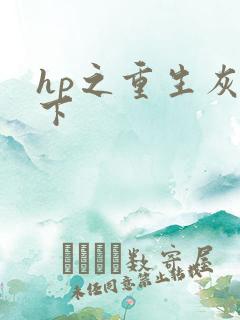 hp之重生灰猊下