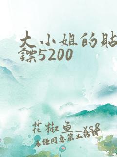 大小姐的贴身保镖5200