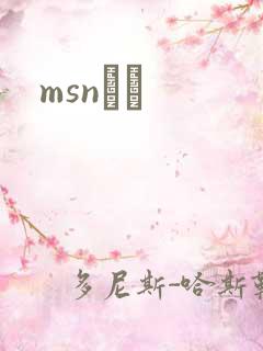 msnС˵
