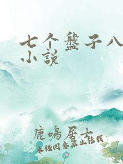 七个盘子八个碗小说