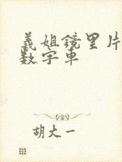 义姐镜里片微博数字车