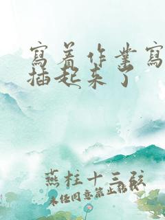 写着作业写着就插起来了