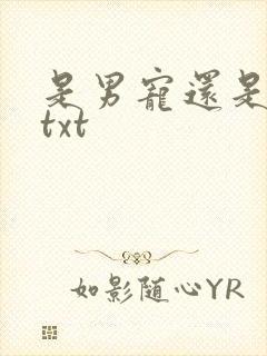 是男宠还是禁脔txt